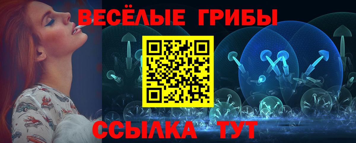 Галлюциногенные грибы Psilocybine cubensis Старая Купавна